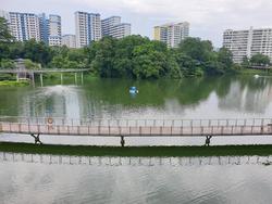 Blk 543 Jelapang Road (Bukit Panjang), HDB Executive #205082351